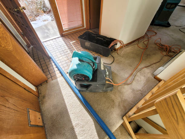 Best Flood damage cleanup  in El Granada, CA