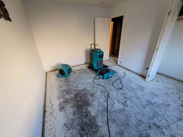 Best Water damage restoration services  in El Granada, CA