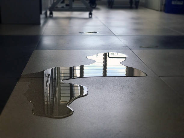 Carpet water damage restoration in El Granada, CA