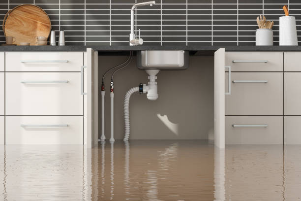Best Water damage restoration near me  in El Granada, CA